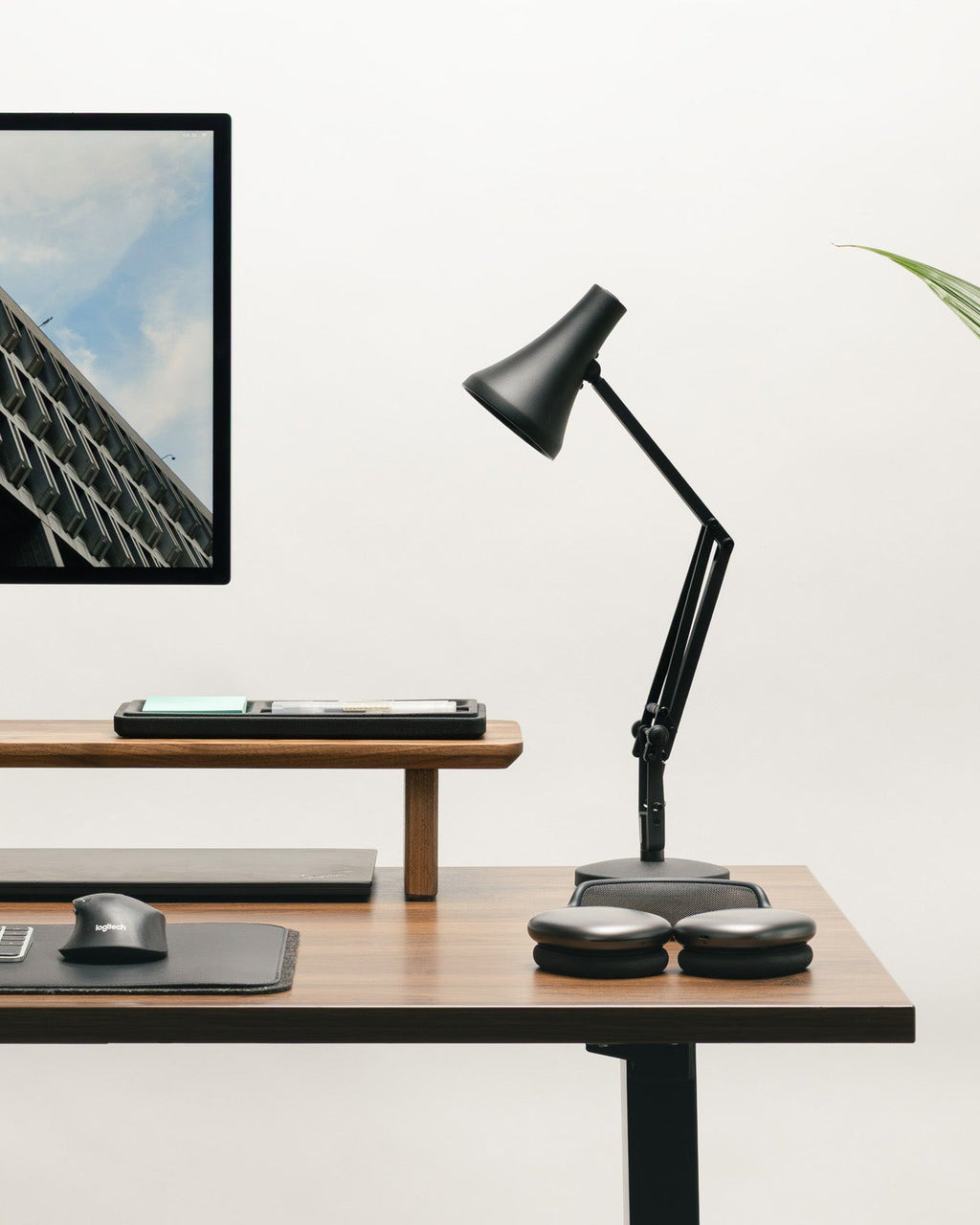 Walnut Desk Shelf (Medium)